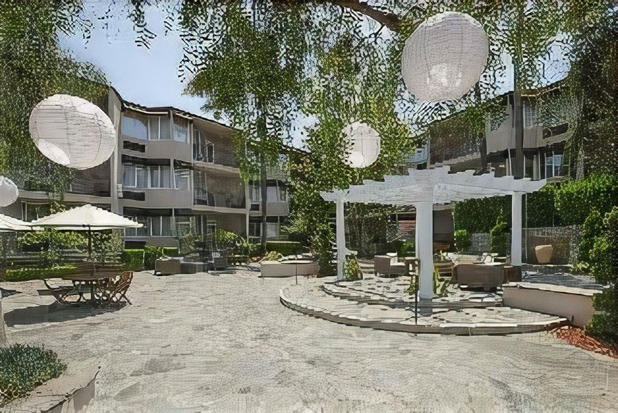 Photo of Buildings in Tree Section
