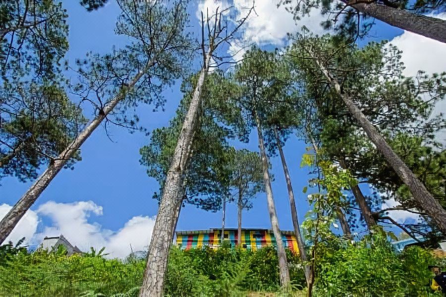 Photo of Outdoor in Da Lat