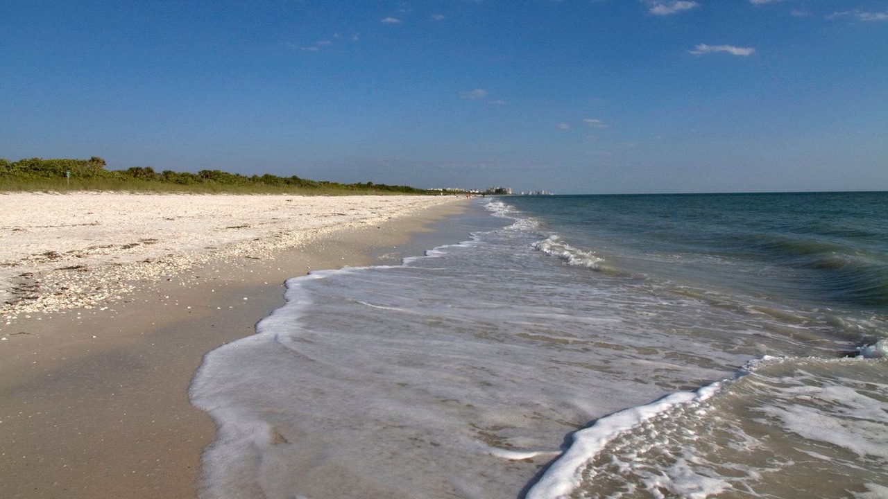Photo of Others in North Naples