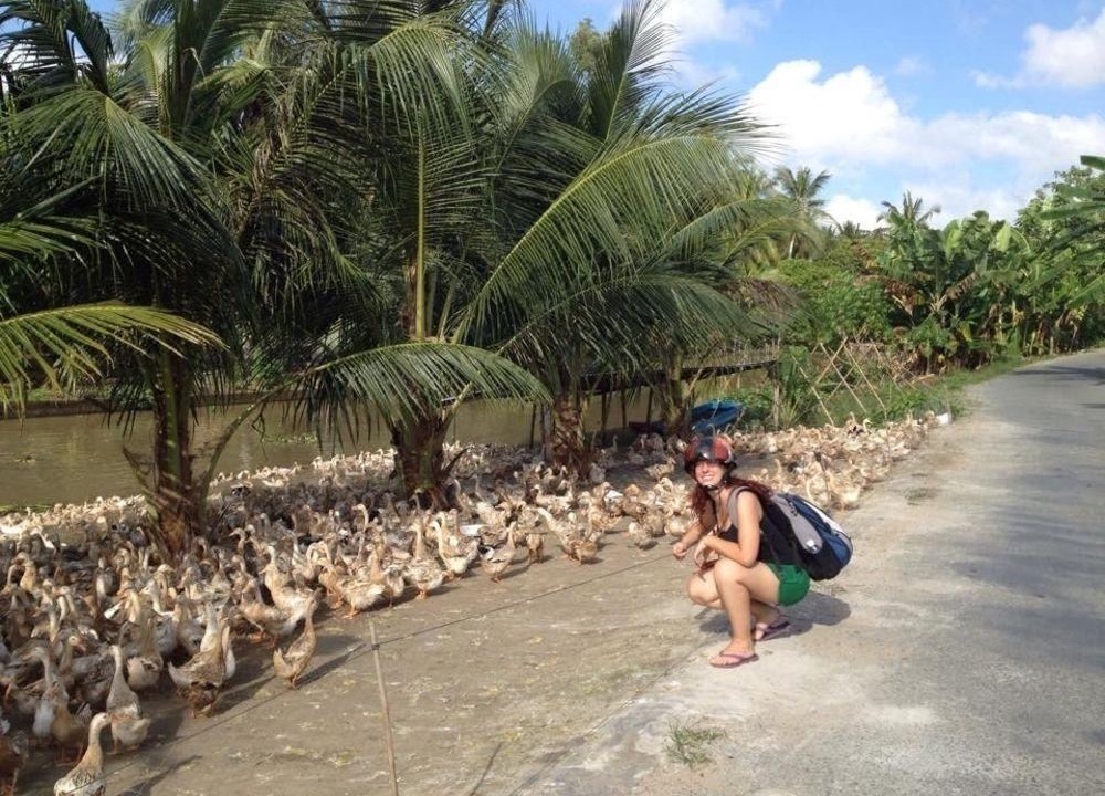 Photo of Others in Vi Thuy