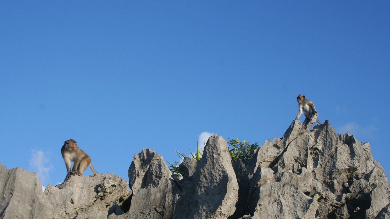 Photo of Buildings in Cat Hai