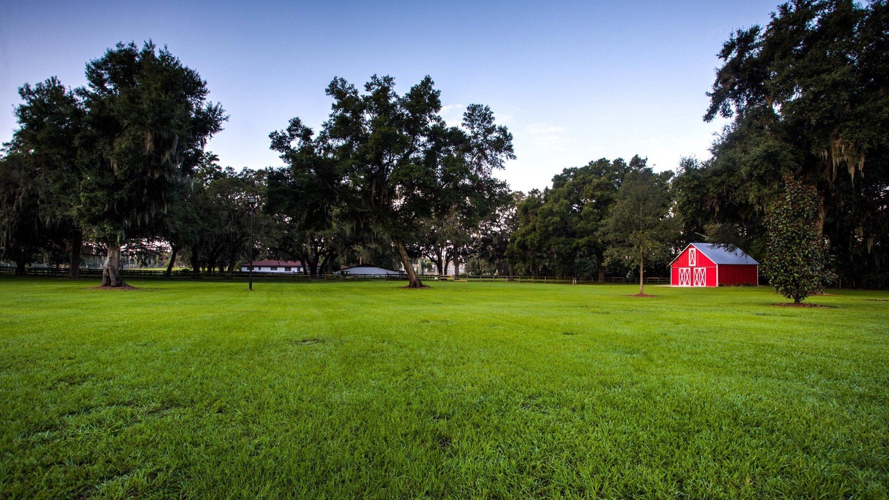 Photo of Others in Ocala