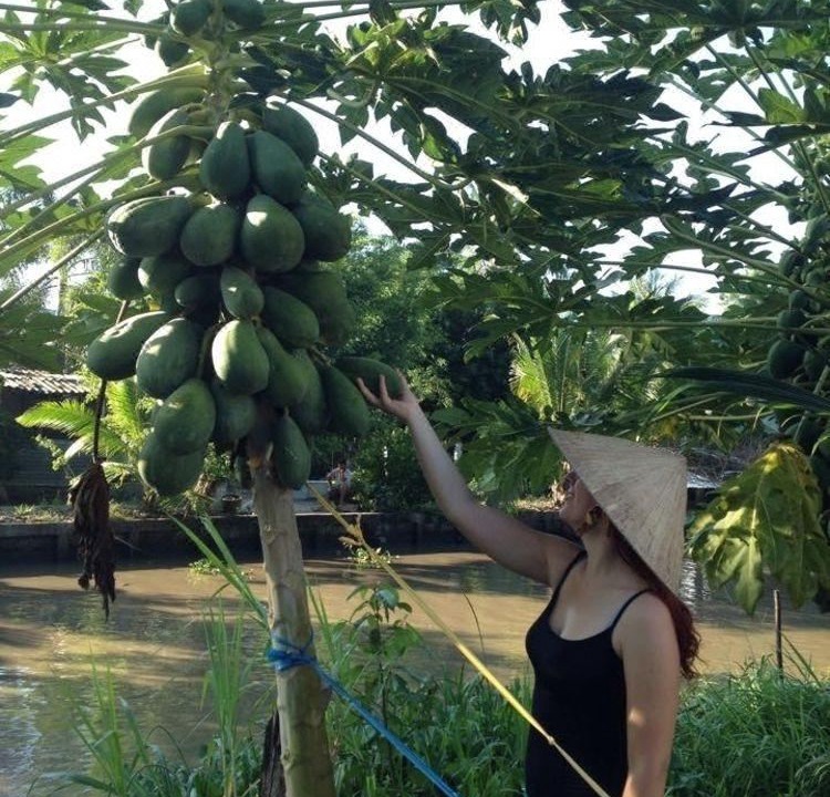 Photo of Others in Vi Thuy