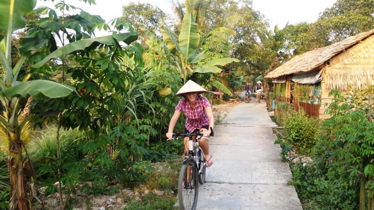 Photo of Others in Vi Thuy