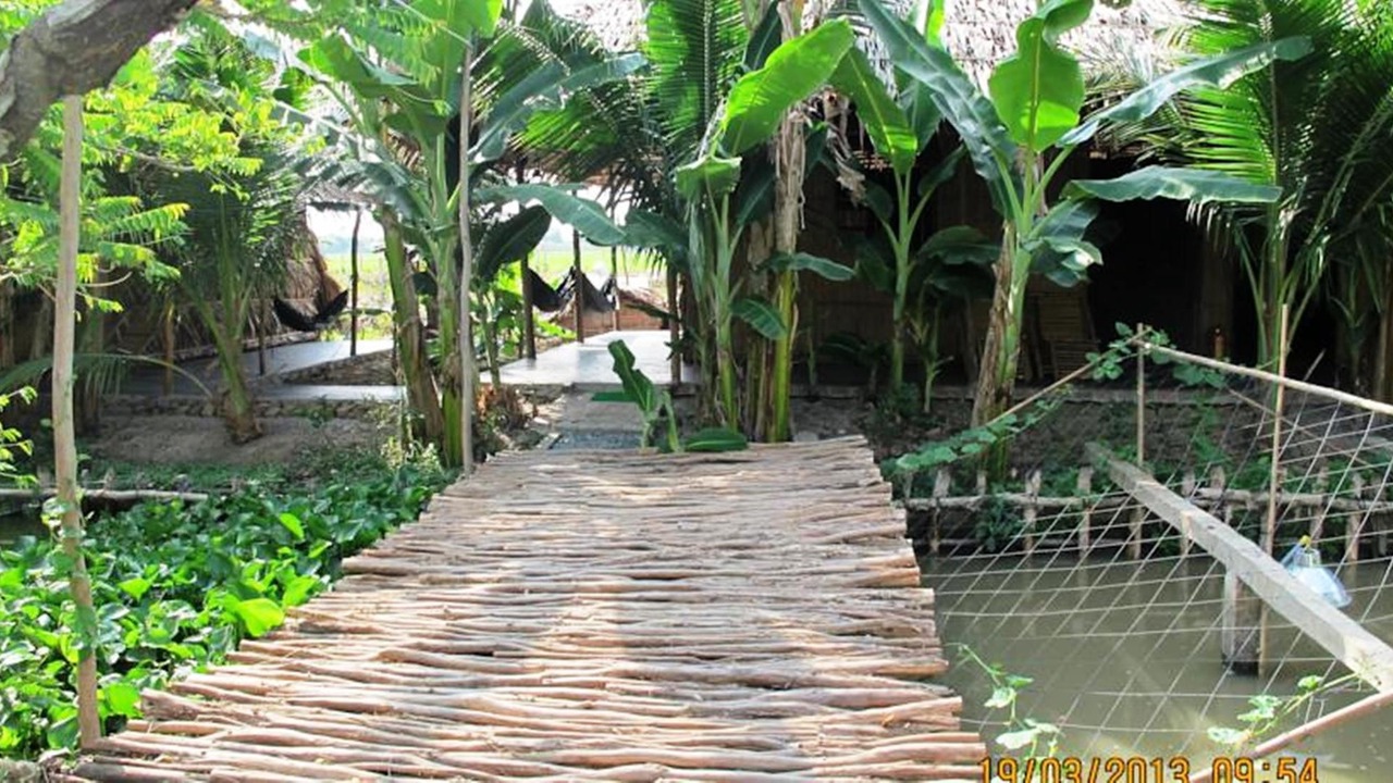 Photo of Others in Vi Thuy