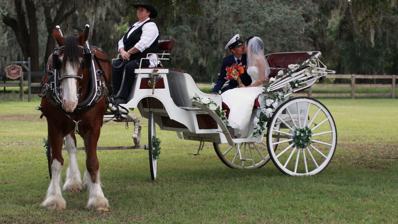 Photo of Human In Picture in Ocala