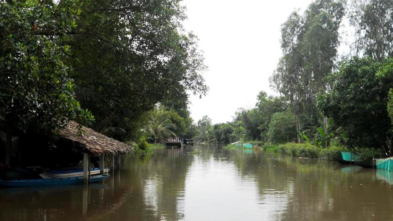 Photo of Outdoor in Vi Thuy