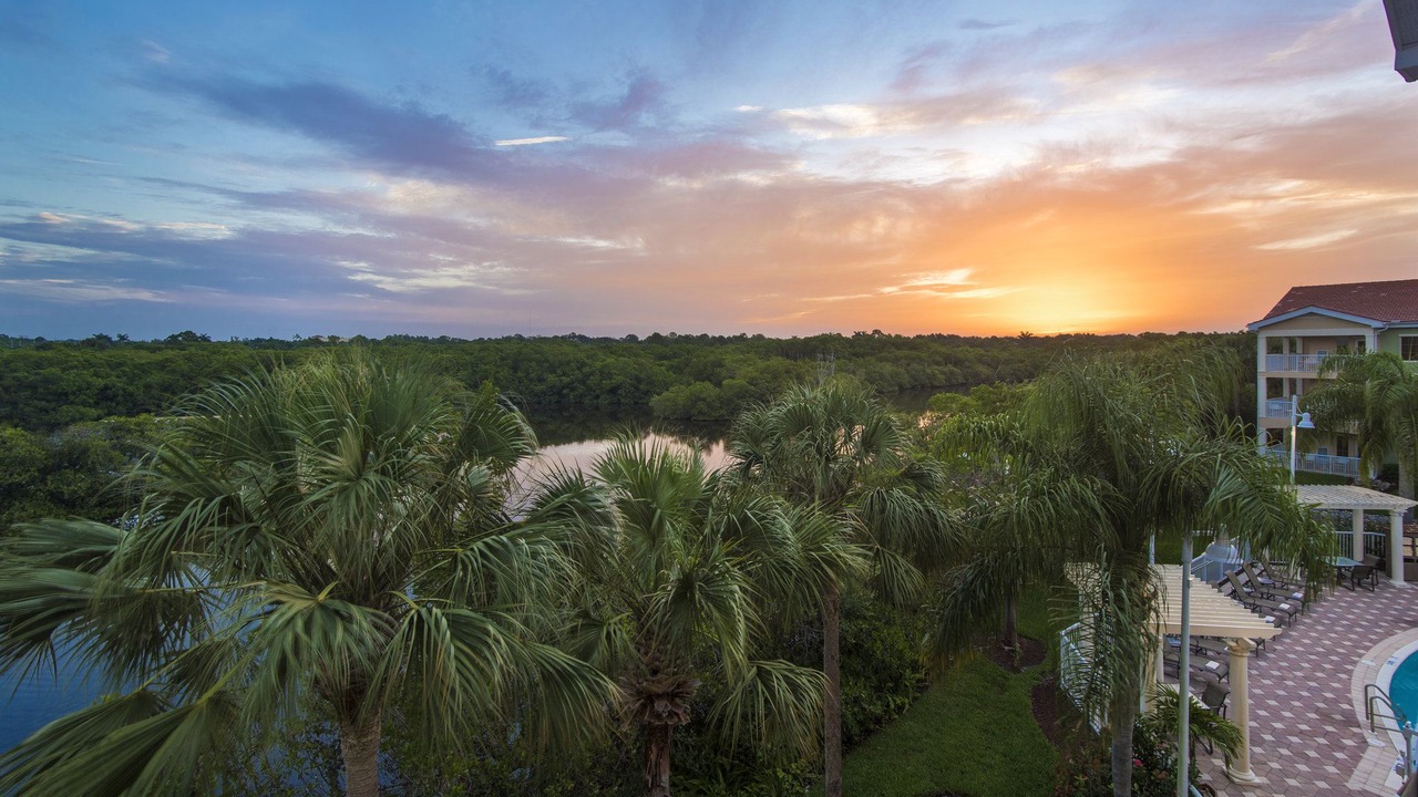 Photo of Others in North Naples
