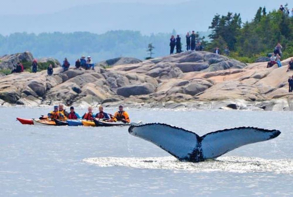 Photo of Others in Tadoussac