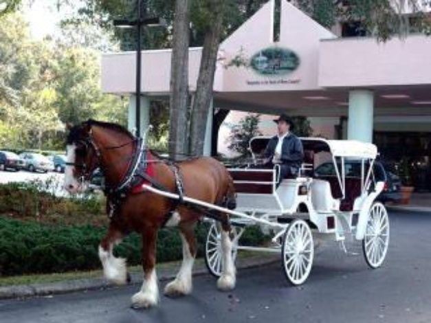 Photo of Others in Ocala