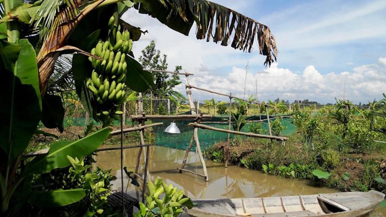 Photo of Others in Vi Thuy