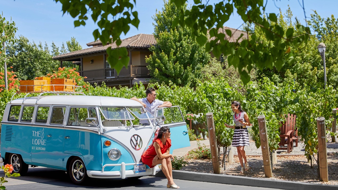 Photo of Others in Sonoma