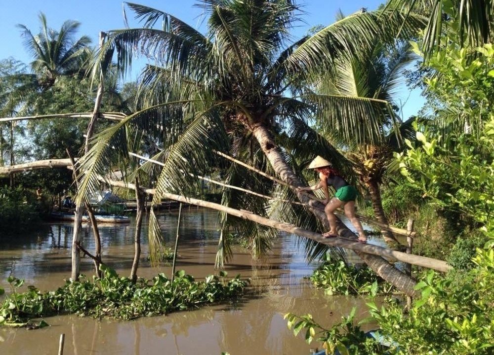 Photo of Buildings in Vi Thuy