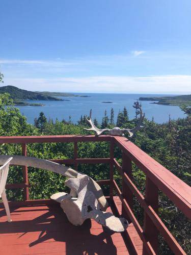 Photo of Others in Saint Lunaire-Griquet