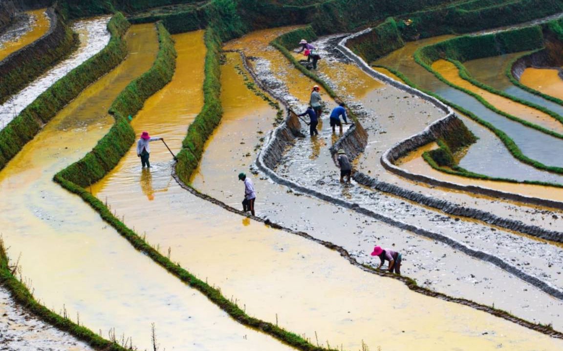 Photo of Human In Picture in Sa Pa