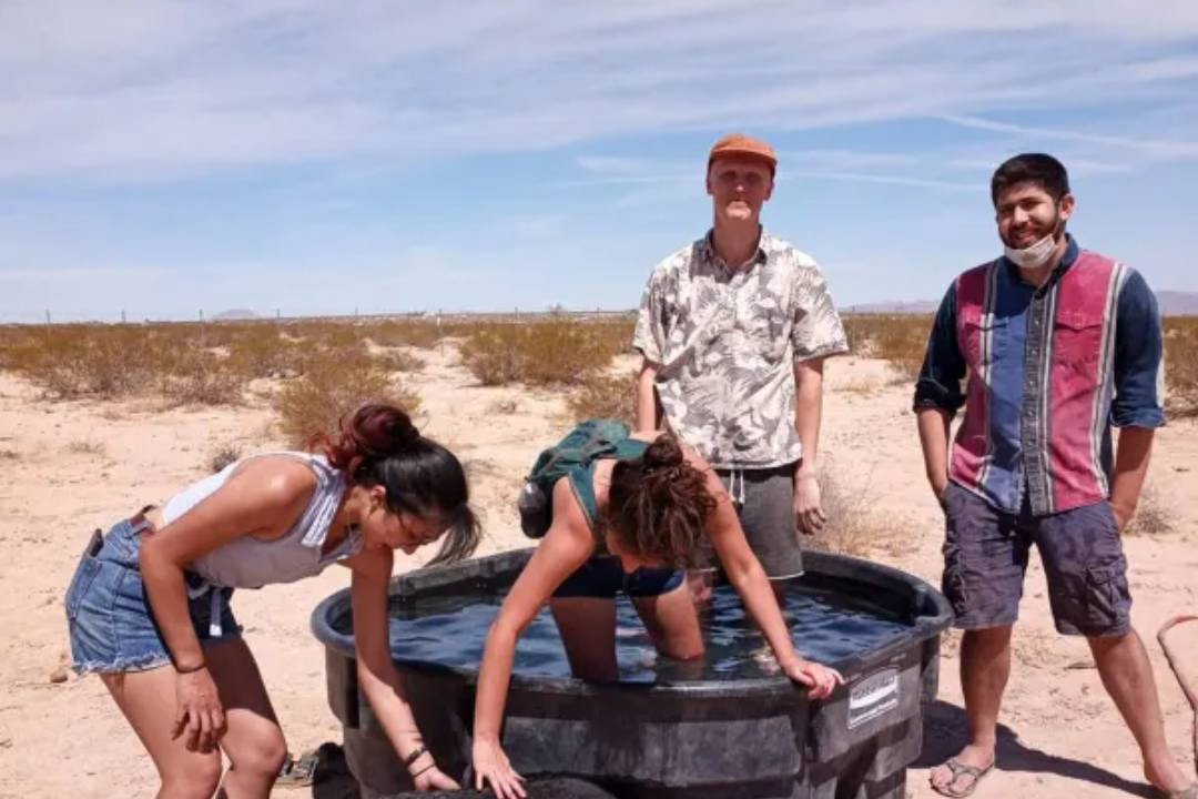 Photo of Others in Twentynine Palms