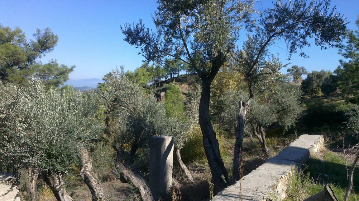 Photo of Others in Bodrum