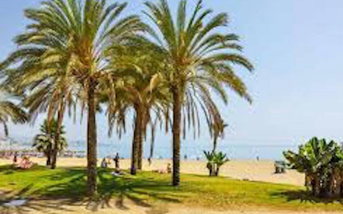 Photo of Others in La Malagueta