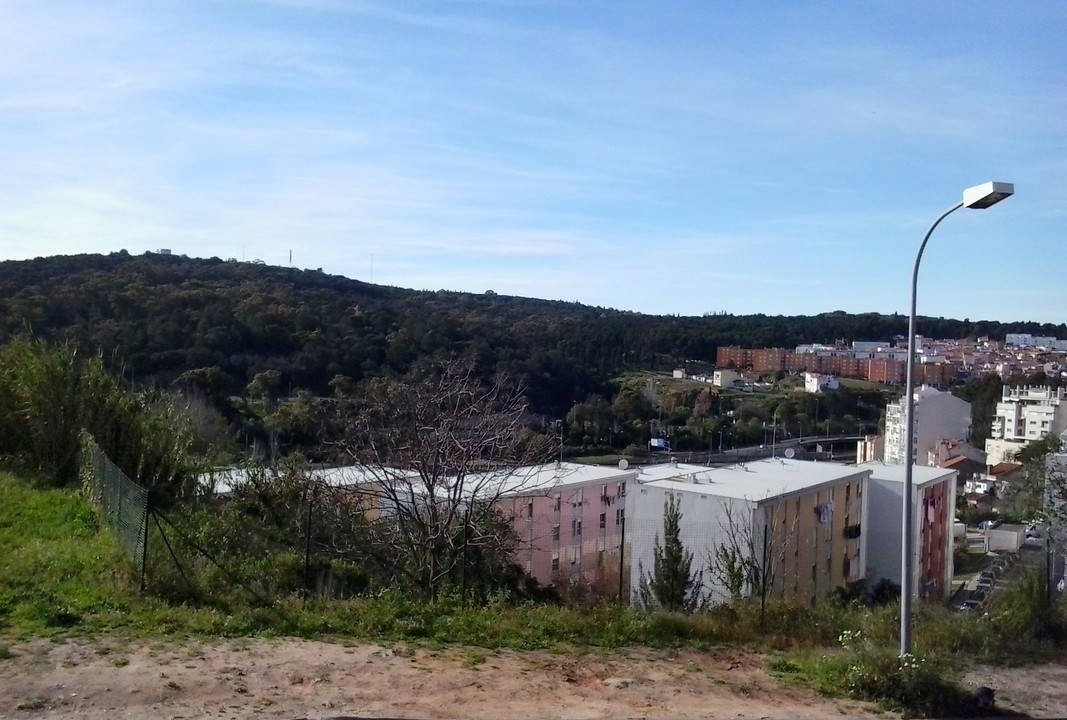 Photo of Others in Falca