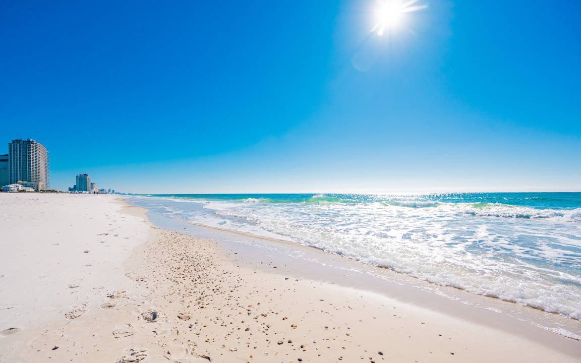 Photo of Others in Gulf Shores
