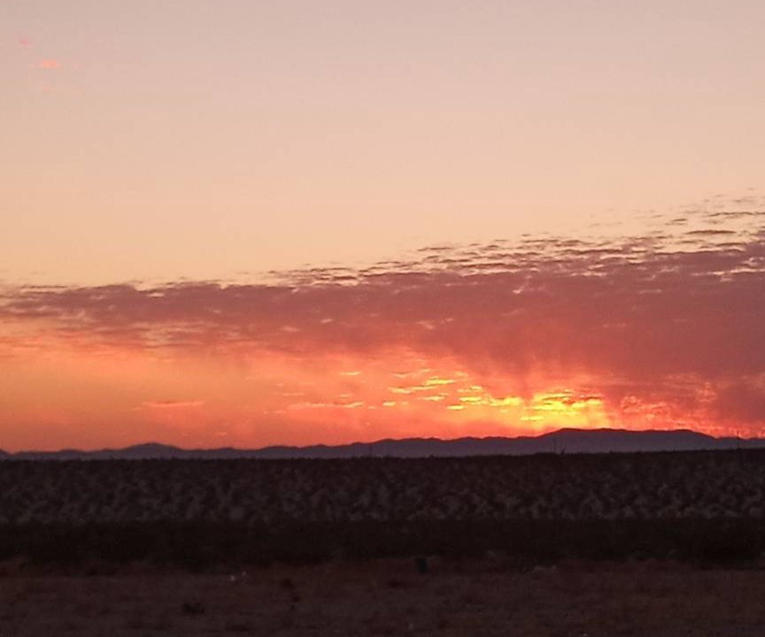 Photo of Others in Twentynine Palms