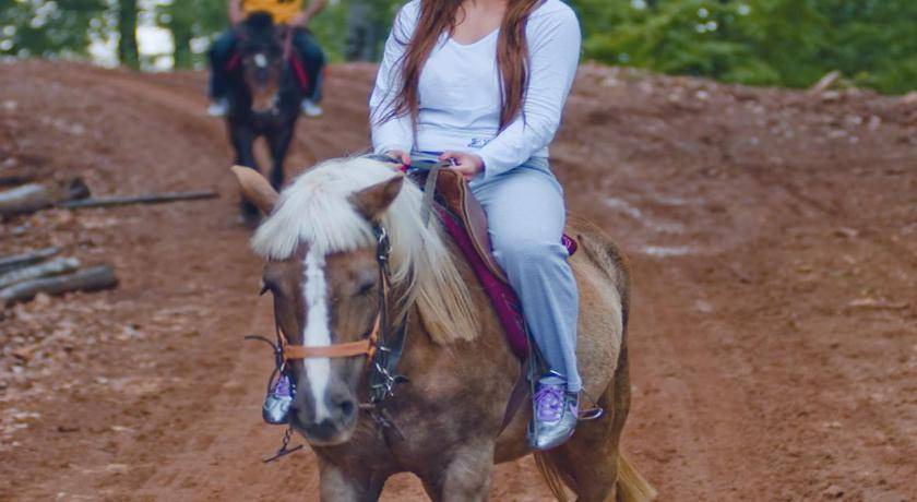 Photo of Others in Kartepe