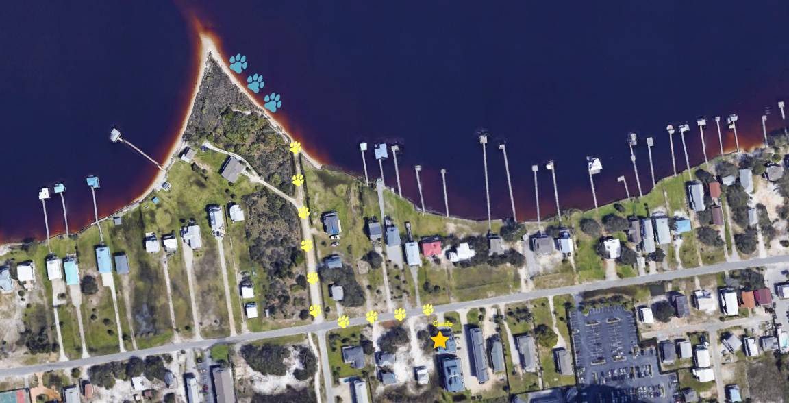 Photo of Others in Gulf Shores