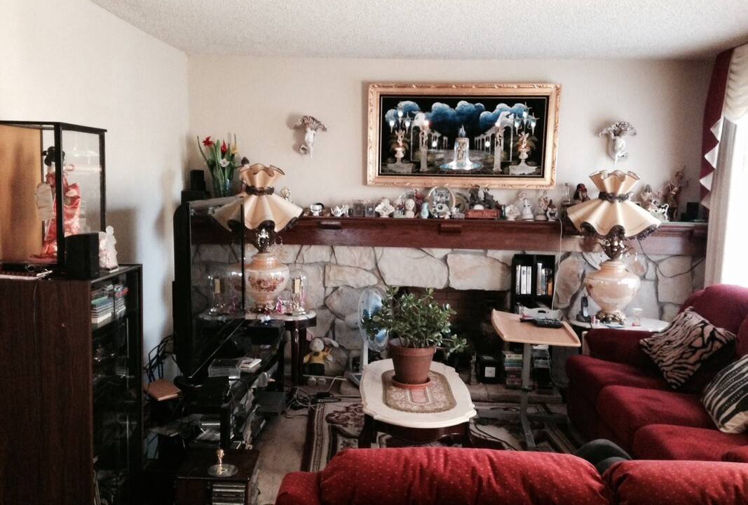 Photo of Others in East San Jose