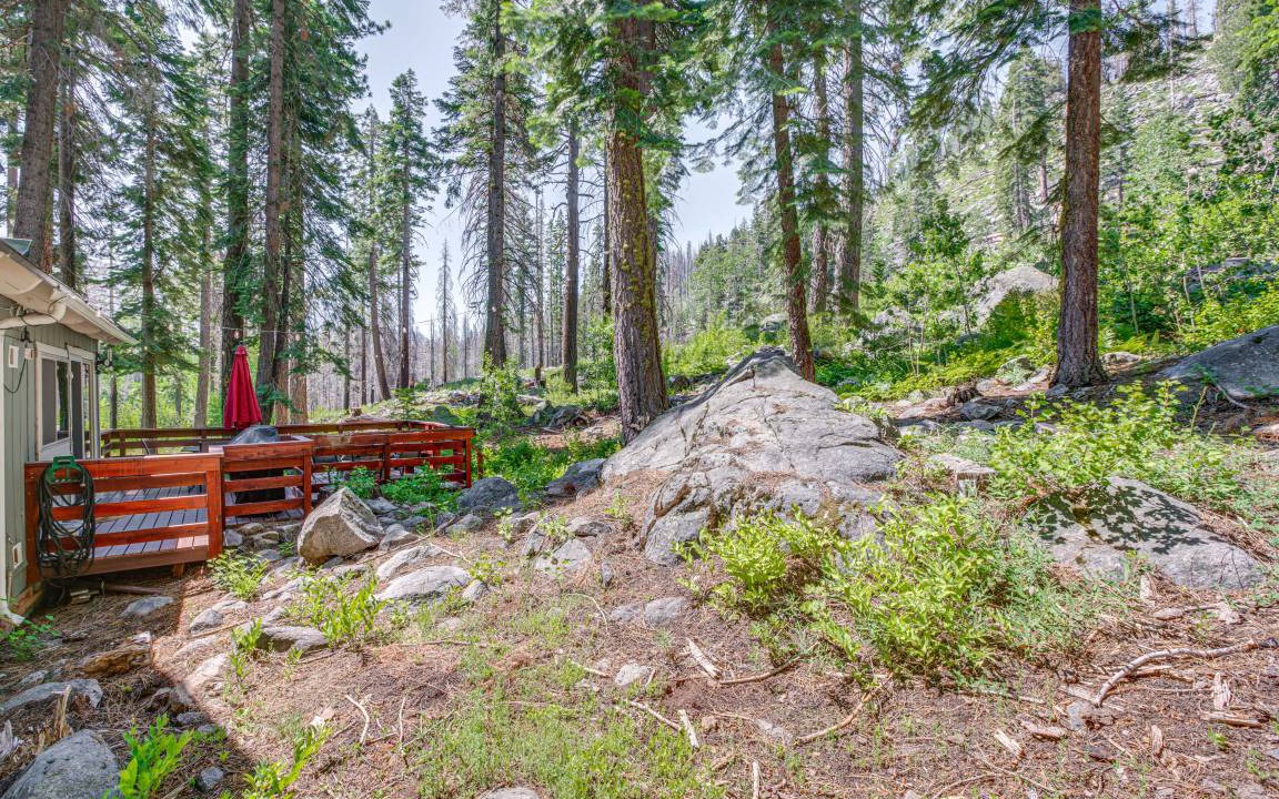 Photo of Others in Tahoe Paradise