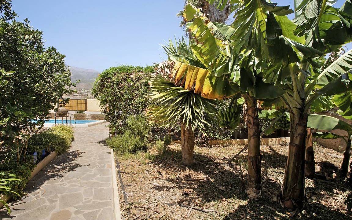 Photo of Others in Guimar