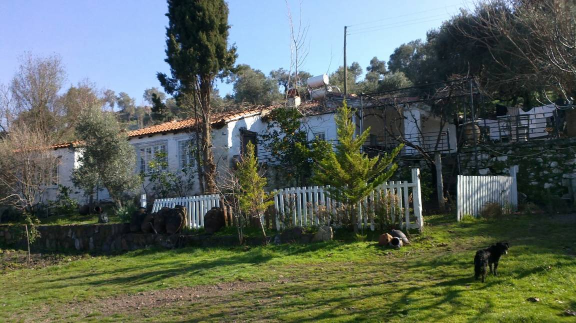 Photo of Others in Bodrum
