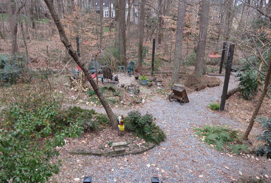 Photo of Others in Cary