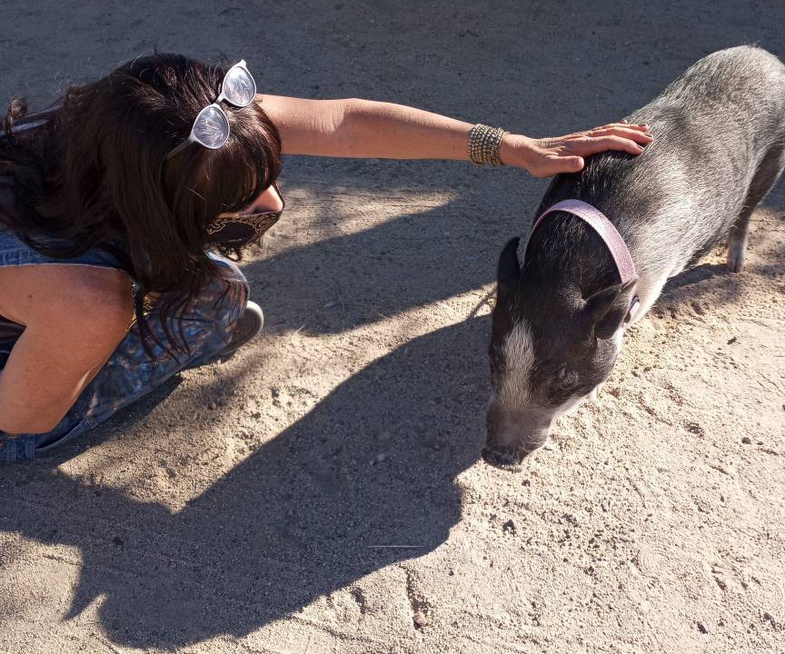 Photo of Others in Twentynine Palms