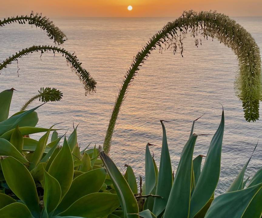 Photo of Others in San Sebastian de la Gomera