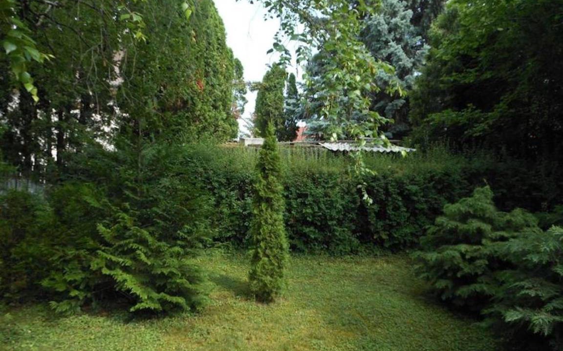Photo of Others in Siofok-Sosto