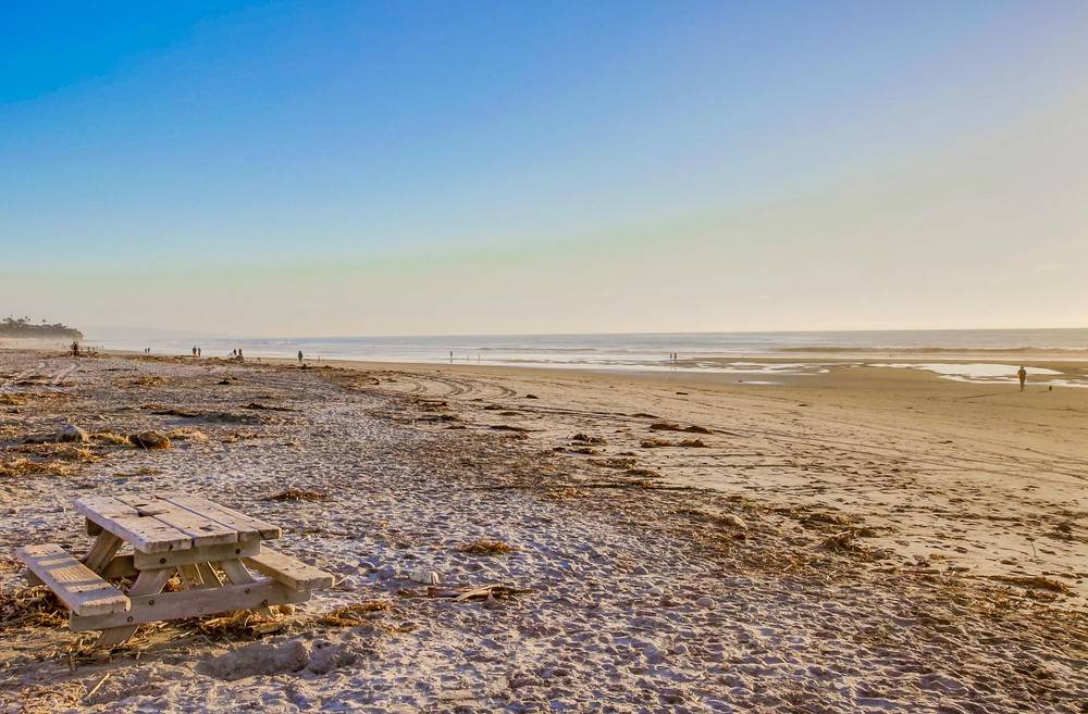 Photo of Others in Cardiff-by-the-Sea