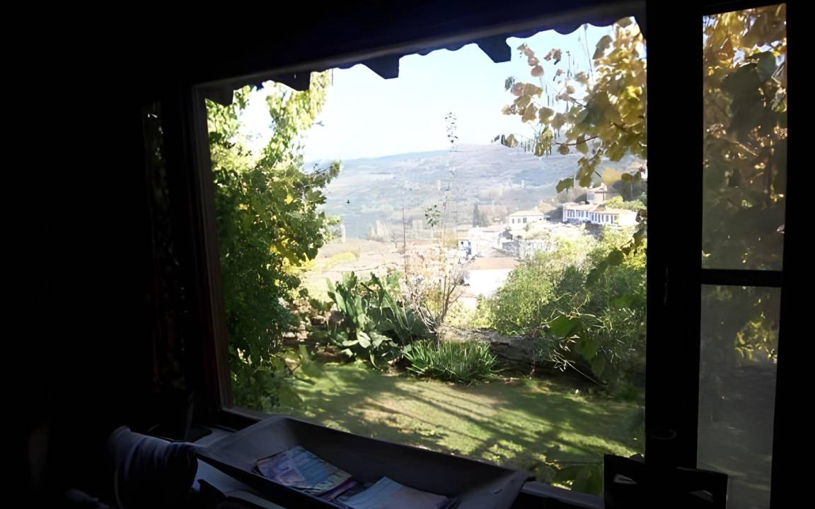 Photo of Others in Sirince