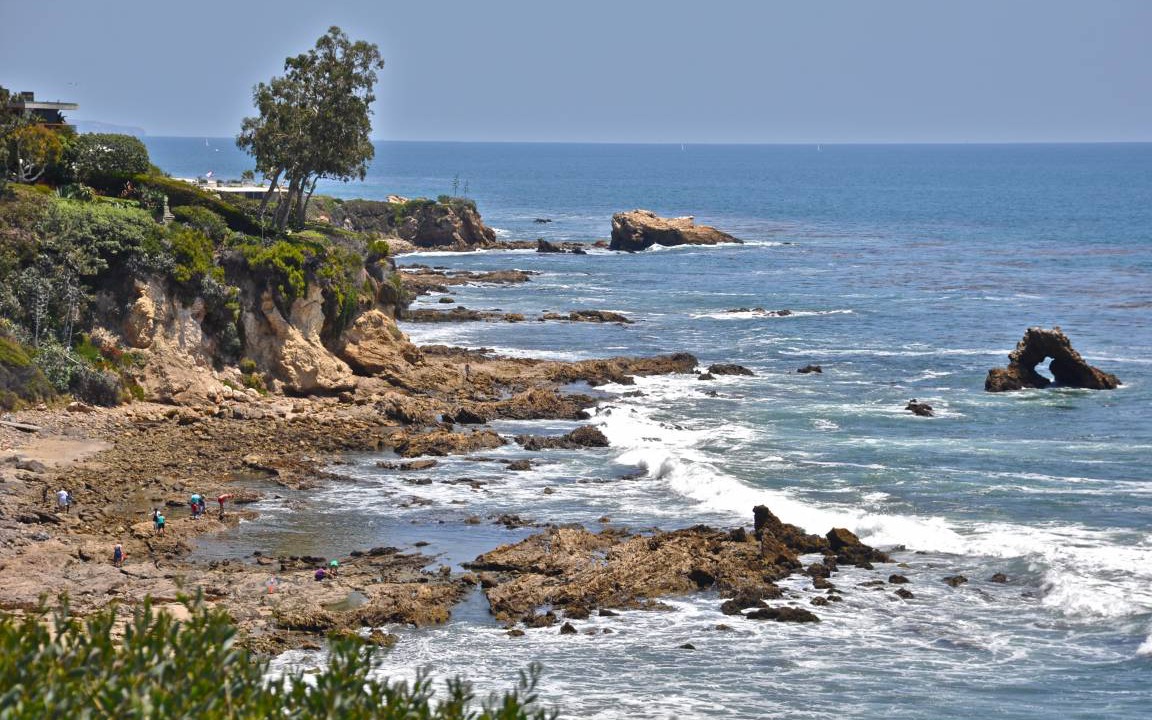 Photo of Others in West Newport