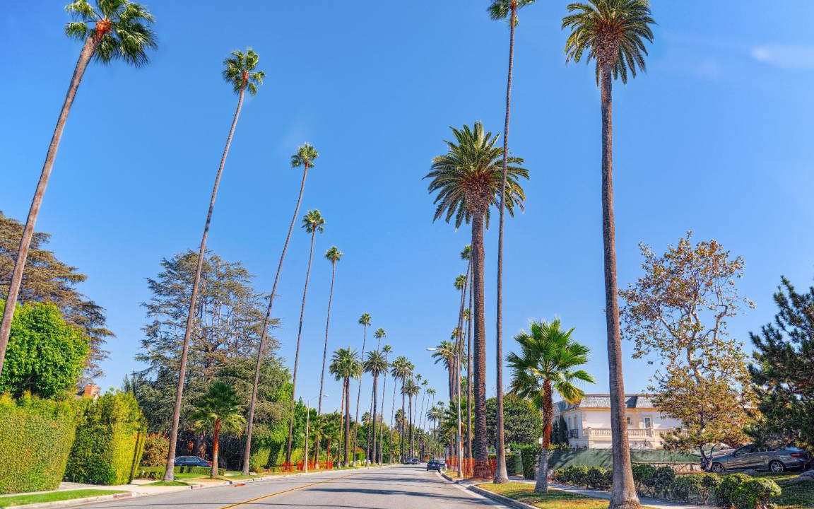 Photo of Others in Hollywood Heights