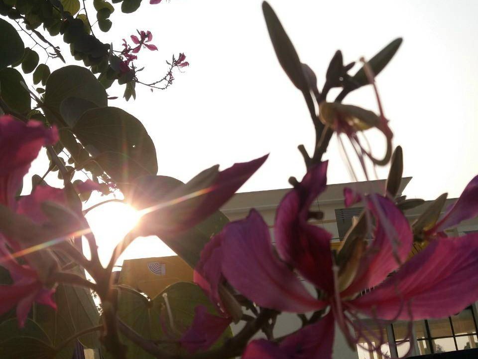 Photo of Outdoor in Hoai Duc
