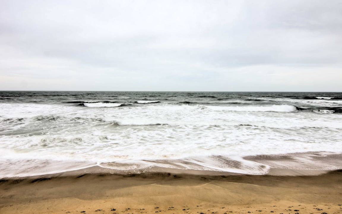 Photo of Others in Kitty Hawk