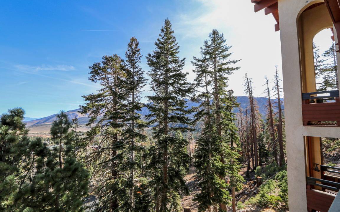 Photo of Others in Mammoth Lakes