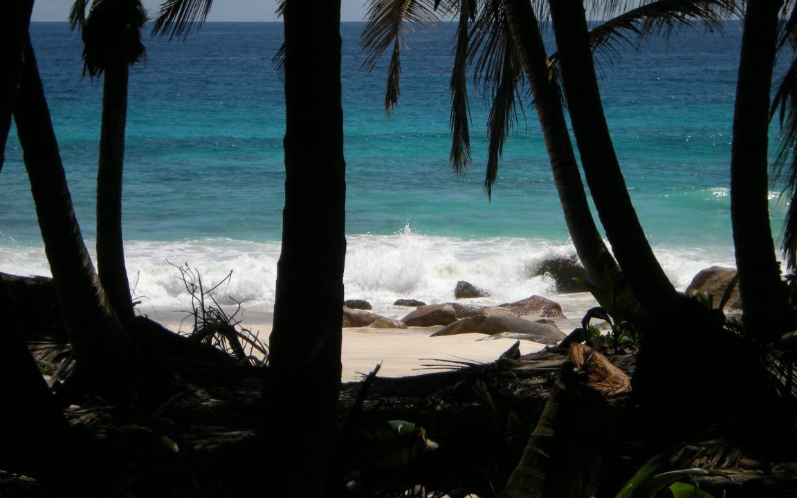 Photo of Others in Anse Boileau