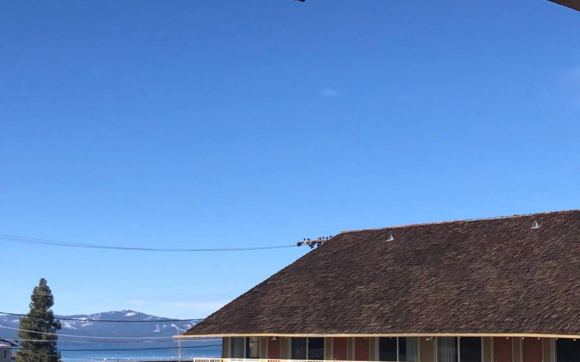 Photo of Others in South Lake Tahoe