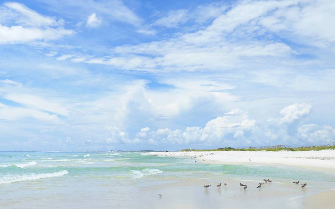Photo of Others in Pensacola