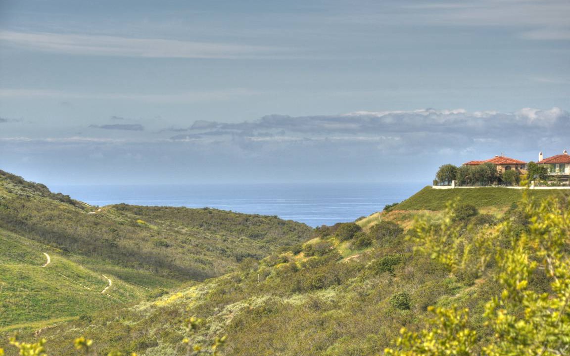 Photo of Others in West Newport