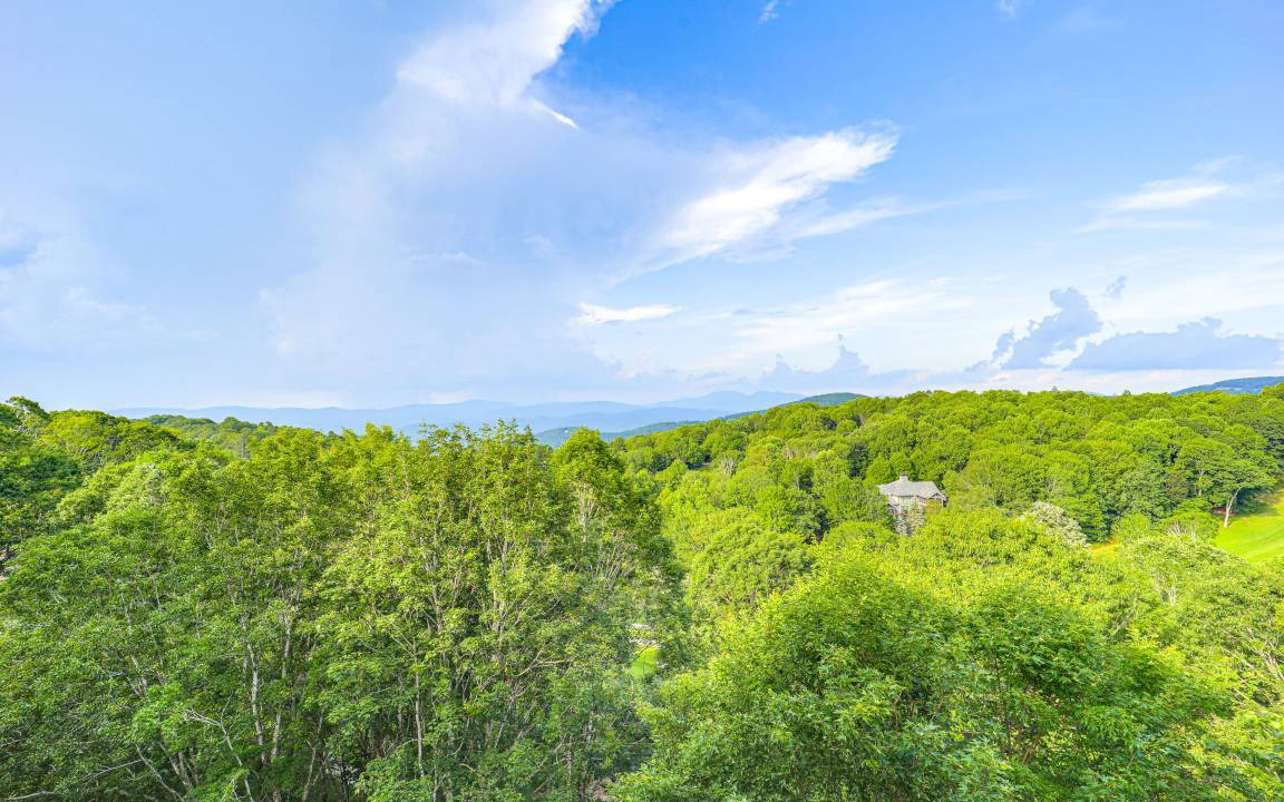 Photo of Others in Beech Mountain