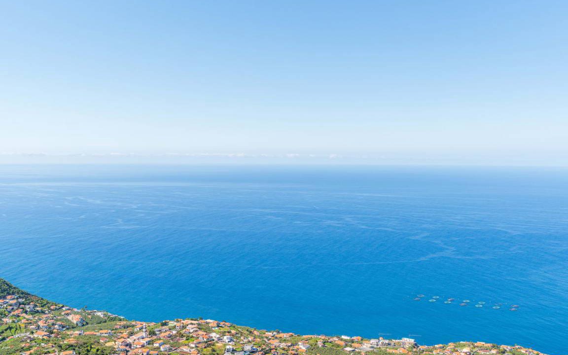 Photo of Others in Arco da Calheta