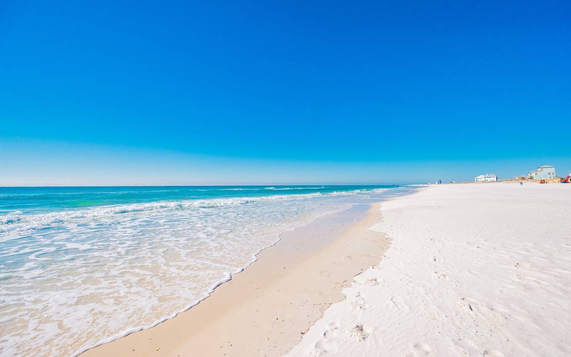 Photo of Others in Gulf Shores