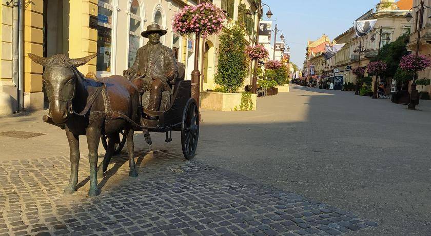 Photo of Others in Kaposvar
